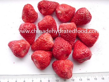 Freeze Dried Strawberry