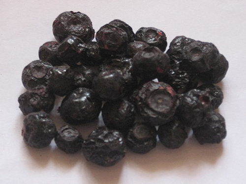 Freeze Dried Blueberry