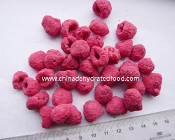 Freeze Dried Raspberry