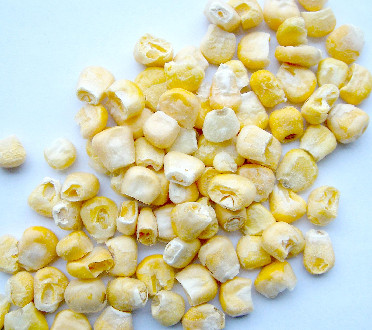 Freeze Dried Sweet Corn