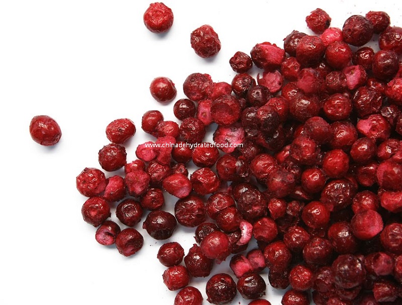 Freeze Dried Cranberry