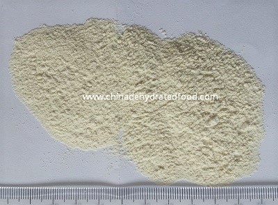 Dehydrated Onion Powder